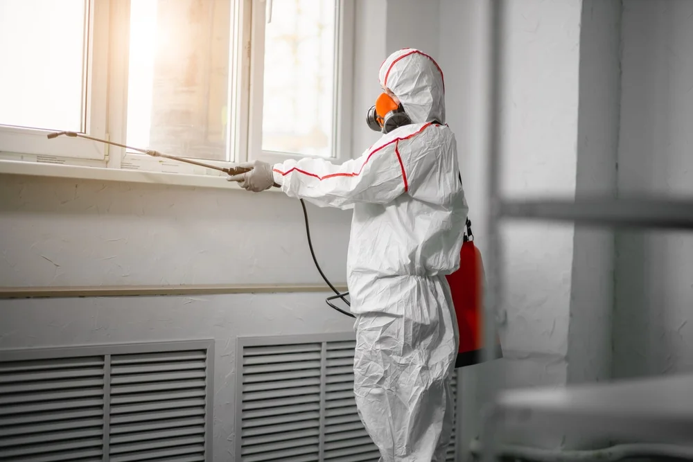 Professional mold remediation services in Bonnerdale, AR